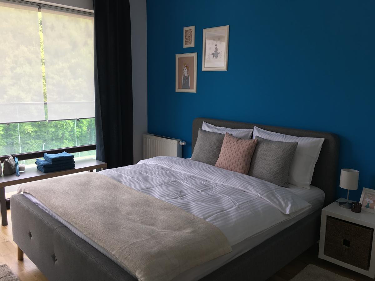 Tampa Gardens - Mountain View Apartment บราชอฟ ภายนอก รูปภาพ