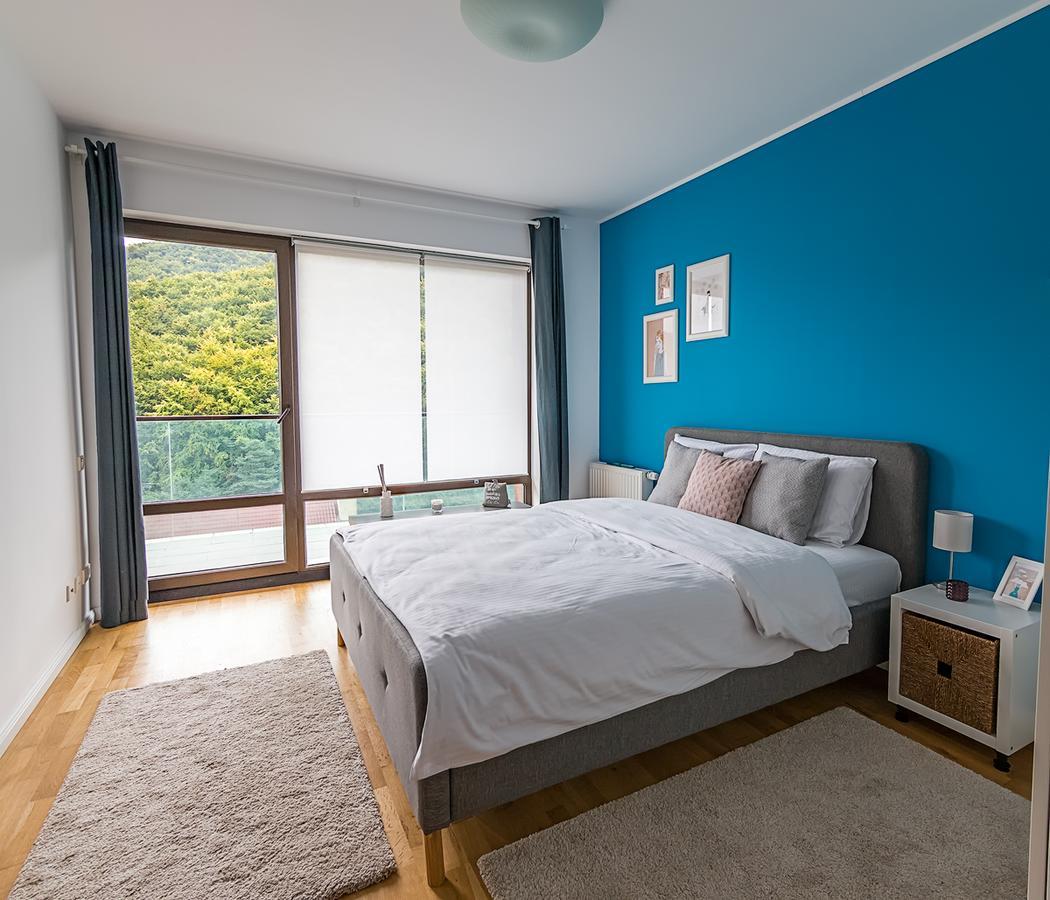Tampa Gardens - Mountain View Apartment บราชอฟ ภายนอก รูปภาพ